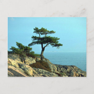 Georgian Bay Shoreline, Lake Huron, Ontario, Canad Briefkaart