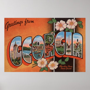 Georgië (Roos Cherokee) - Grote lettertjes Poster