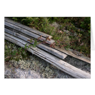 Gepantsoenen van gekaarde ribben, die de natuur op