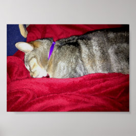 Gepasseerd Indigo Poster