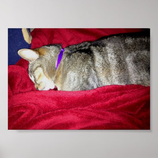 Gepasseerd Indigo Poster (Voorkant)