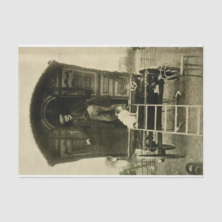  geperforeerde wagon en hond tissuepapier