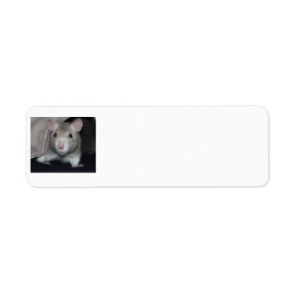 Gepersonaliseerd Adresetiketten van afdruk tot ran Etiket