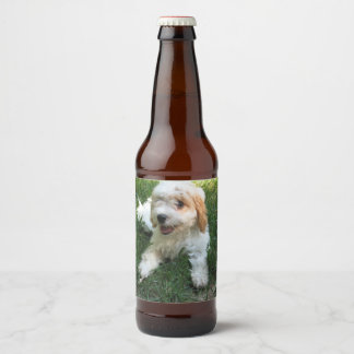 Gepersonaliseerd Cavachon Foto, Dog Bier Etiket
