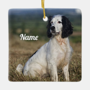 Gepersonaliseerd Engels Springer Spaniel Keramisch Ornament