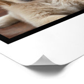 Gepersonaliseerd hond vier poster voor fotocollage (Hoek)