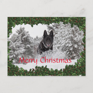 Gepersonaliseerd kerst briefkaart met zwarte hond