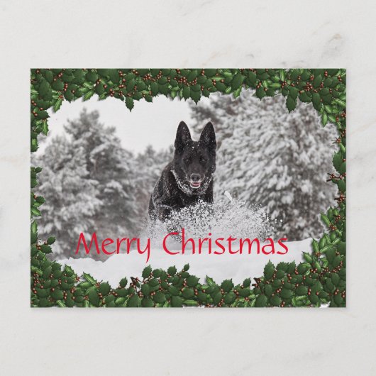 Gepersonaliseerd kerst briefkaart met zwarte hond (Voorkant)