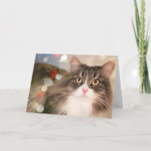 Gepersonaliseerd kerstkat vakantie Kaart