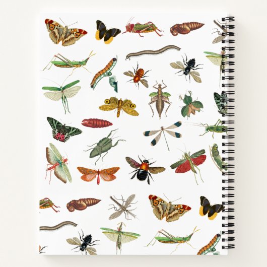 Gepersonaliseerd kleurig Insect Patroon Notitieboek (Achterkant)