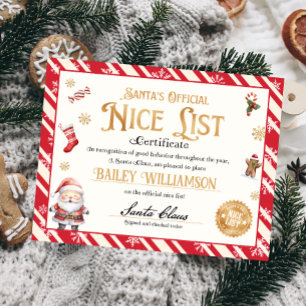 Gepersonaliseerd leuk certificaat van Sinterklaas