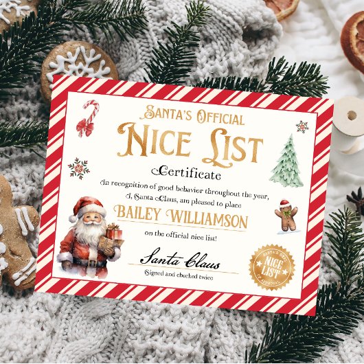 Gepersonaliseerd leuk certificaat van Sinterklaas