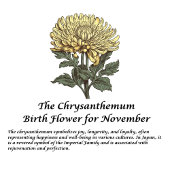 Gepersonaliseerd november Geboorte Bloem Chrysanth Thermosbeker