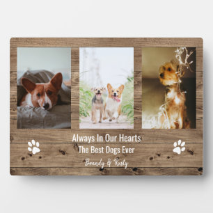 Gepersonaliseerd Pet Memorial Pet Loss Foto Collag Fotoplaat