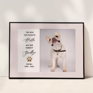 Gepersonaliseerd Pet Memorial Pet Loss Foto Collag Poster