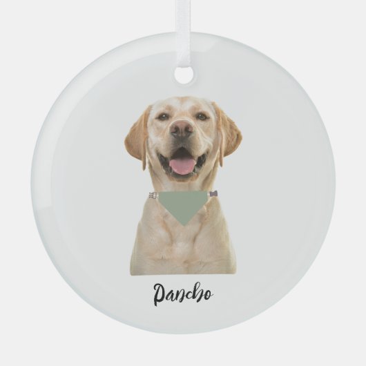 GEPERSONALISEERD PET-ORNAMENT GLAS ORNAMENT (Voorkant)