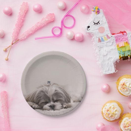 Gepersonaliseerd sjiitisch Bord, slaaphond Papieren Bordje (Feest)