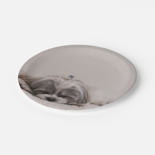 Gepersonaliseerd sjiitisch Bord, slaaphond Papieren Bordje (Gekanteld)