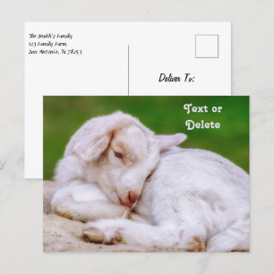 Gepersonaliseerd Sleepy Baby Geit Kind Briefkaart