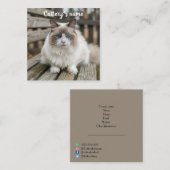 Gepersonaliseerd vierkant Visitekaartje voor catte (Voorkant / Achterkant)