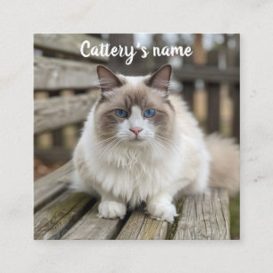 Gepersonaliseerd vierkant Visitekaartje voor catte