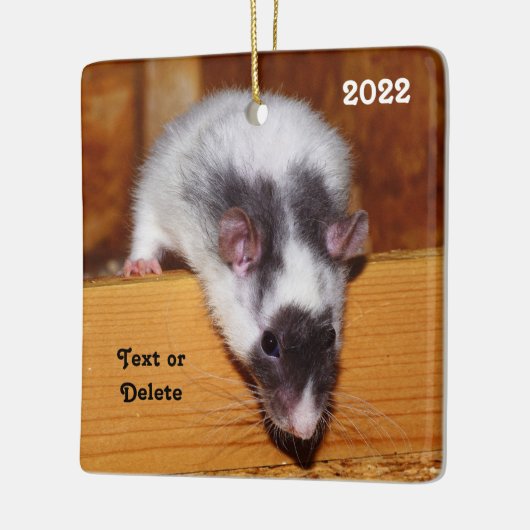 Gepersonaliseerd zwart en wit gemaskeerd computerp keramisch ornament (Links)