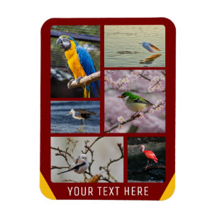 Gepersonaliseerde 5 Afbeeldingen flexibele fotomag Magneet