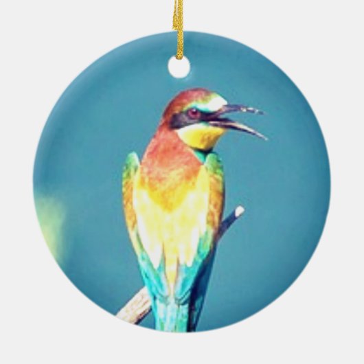 Gepersonaliseerde aangepaste kleurrijke vogelfoto keramisch ornament (Achterkant)