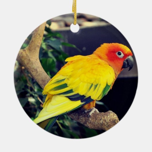 Gepersonaliseerde aangepaste Lovebird foto Keramisch Ornament (Achterkant)