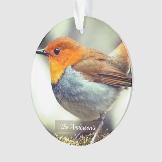 Gepersonaliseerde aangepaste Robin Bird Foto Ornament (voorkant)