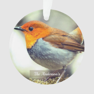 Gepersonaliseerde aangepaste Robin Bird Foto Ornament