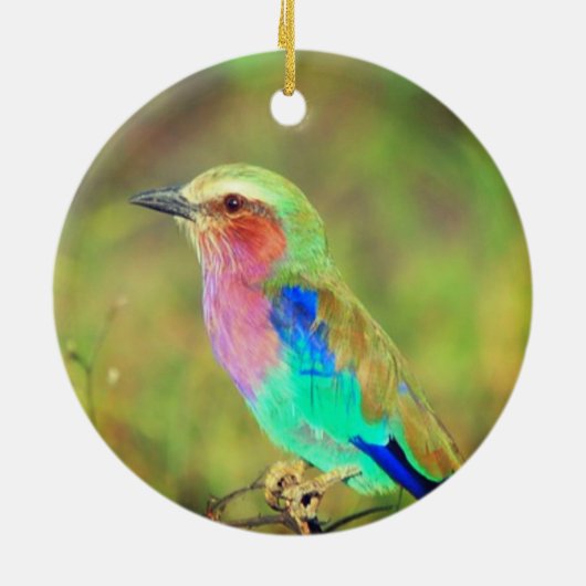 Gepersonaliseerde aangepaste veelkleurige vogelfot keramisch ornament (Achterkant)