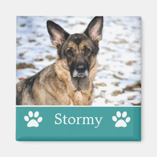 Gepersonaliseerde Blauwgroen Pet Photo Magnet Magneet
