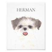 Gepersonaliseerde Bruin en Wit Shih Tzu Art Foto Afdruk (Voorkant)
