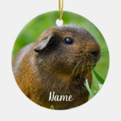Gepersonaliseerde bruine Guinee Pig Keramisch Ornament (Voorkant)