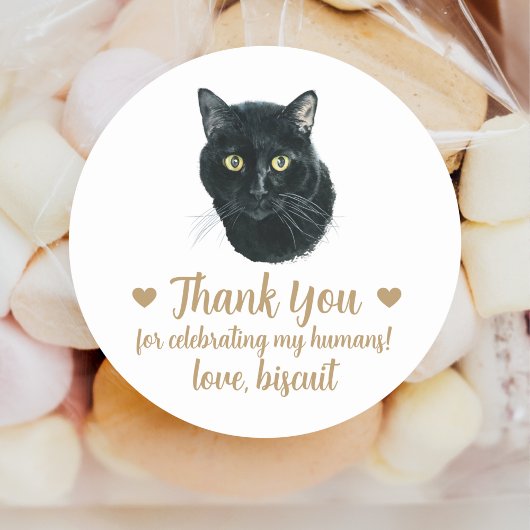 Gepersonaliseerde Cat Wedding Favoriete Stickers
