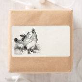 gepersonaliseerde cichenrooster Cochin Birds Etiket (Insitu)