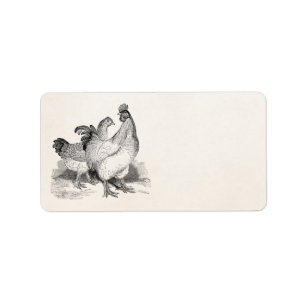  gepersonaliseerde cichenrooster Cochin Birds Etiket