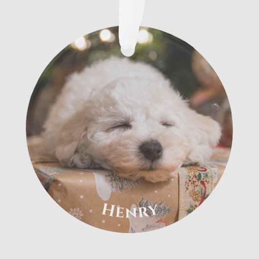 Gepersonaliseerde Creëer Uw eigen foto Ornament (voorkant)