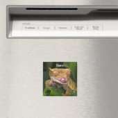 Gepersonaliseerde Crested Gecko Lizard Magneet (Insitu (Vaatwasser))