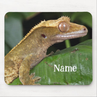 Gepersonaliseerde Crested Gecko Pet Lizard Muismat