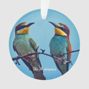 Gepersonaliseerde Custom Kleurrijke Vogels Foto Ornament