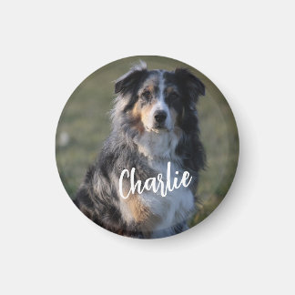 Gepersonaliseerde Custom Pet Dog Foto Magneet