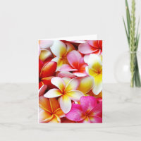 Gepersonaliseerde de Bloem van Frangipani Hawaï