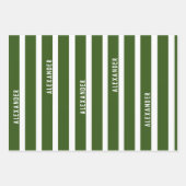 Gepersonaliseerde Dinosaur White en Green Kinderen Inpakpapier Vel (Voorkant 3)