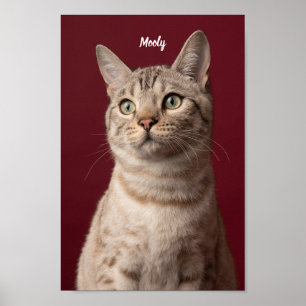 Gepersonaliseerde Dog & Cat Naam Foto Prints, Inst Poster