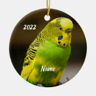 Gepersonaliseerde Engelse boedgie Paraket Keramisch Ornament