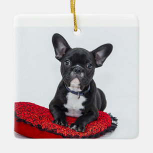 Gepersonaliseerde familie Acryl Keepsake Ornament