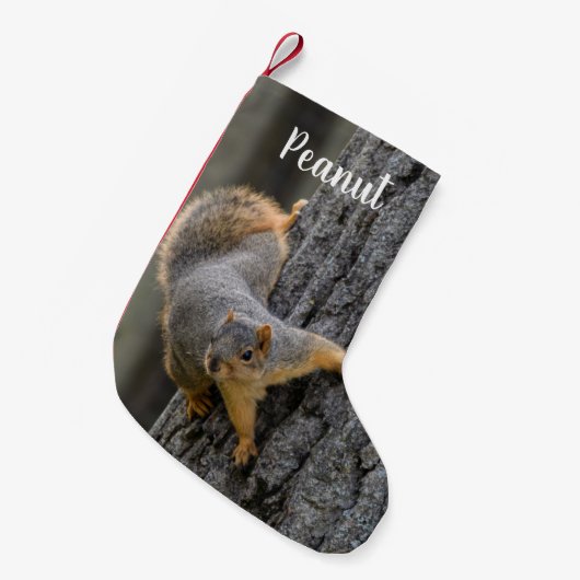 Gepersonaliseerde Fox Squirrel op een boom Kleine Kerstsok (Voorkant (Hangend))