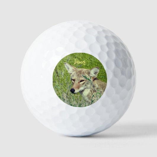 Gepersonaliseerde Fun Coyote Dier Golfballen (Voorkant)